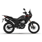 Morbidelli T125X